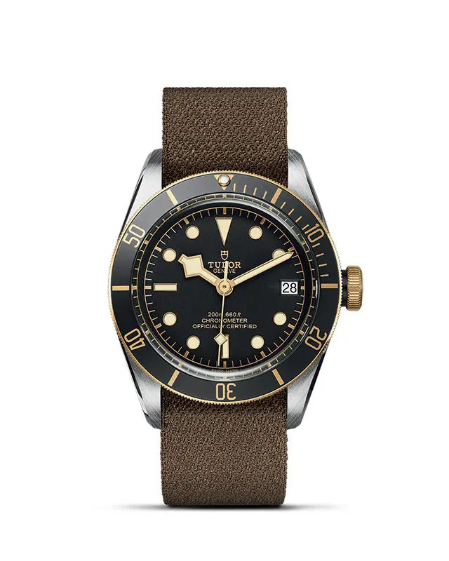 TUDOR Black Bay S&G