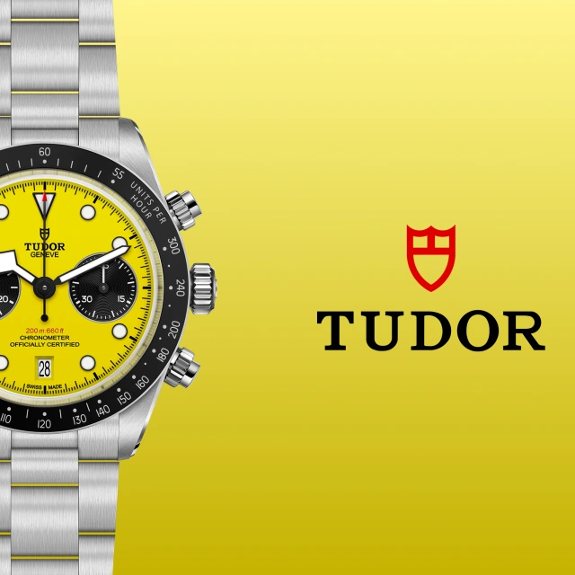Rivenditore autorizzato Tudor Alassio